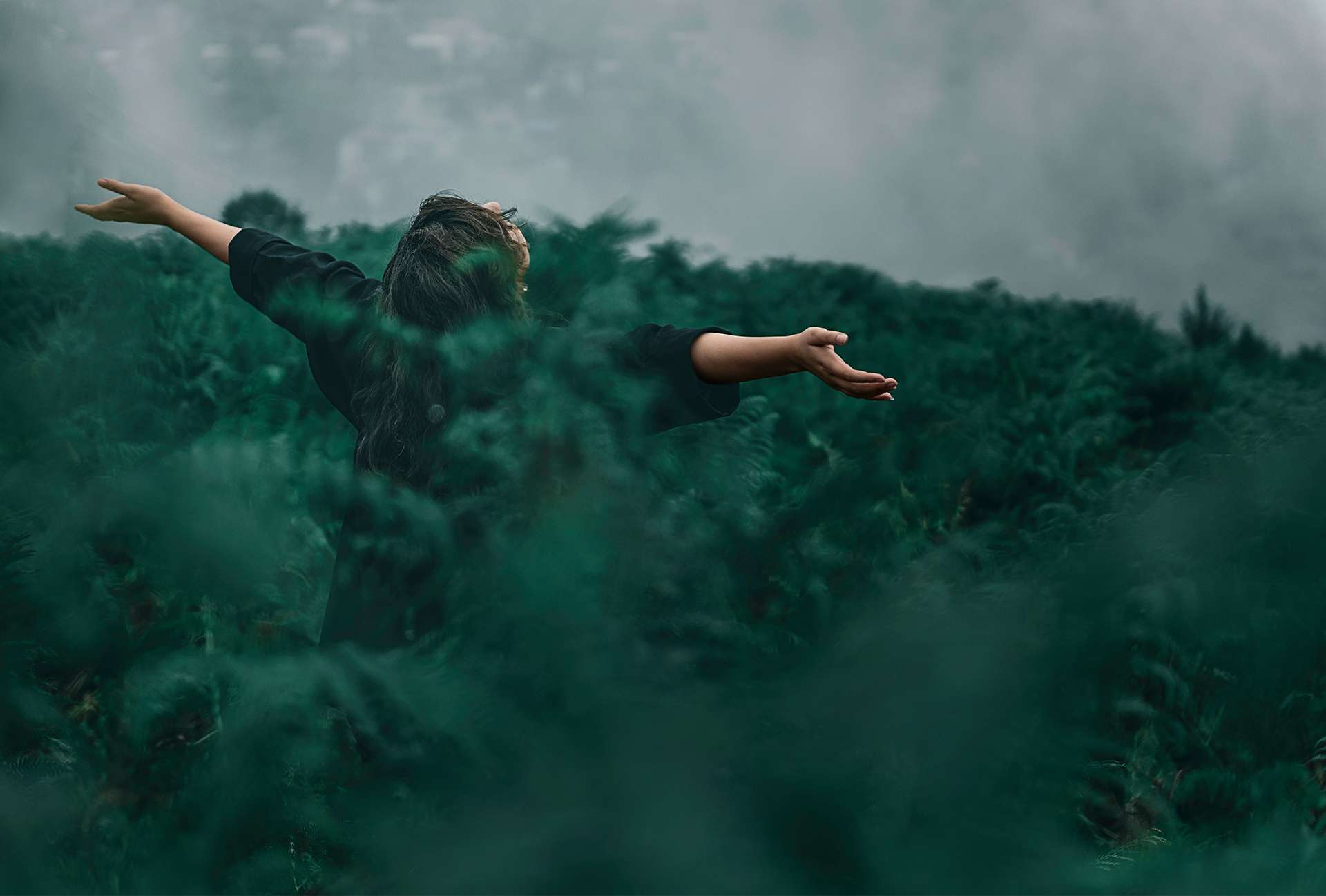 Green Landscape