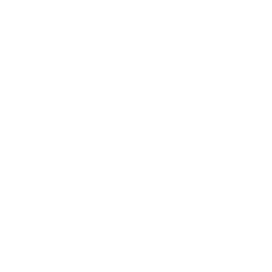 Sidley Austin Logo