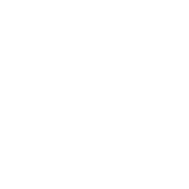 Signature Aviation Logo