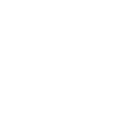 Wright Flood Logo White